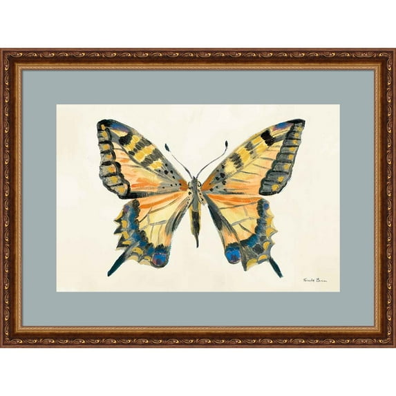 Great Art Now Butterfly Study II by Farida Zaman, Framed Wall Art, 24.75W x 18.75H