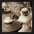 thumbnail image 1 of Great Art Now Cafe Pug Stay Classy V2 by Jim Dratfield Framed Wall Art 13"W x 13"H, 1 of 3