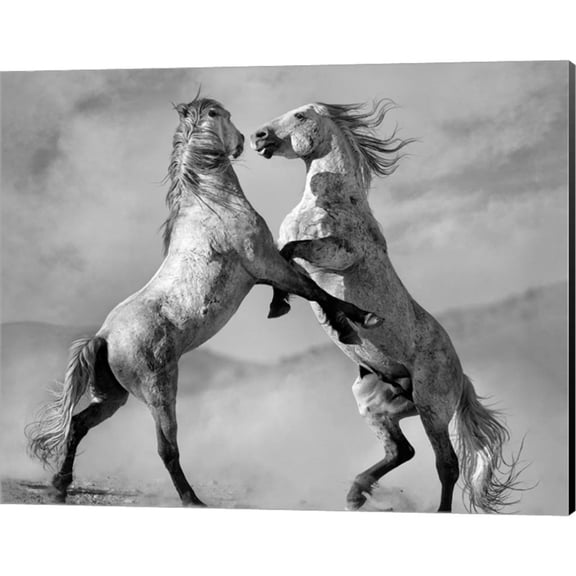 Great Art Now Challengers by Lisa Dearing, Canvas Wall Art, 20W x 16H
