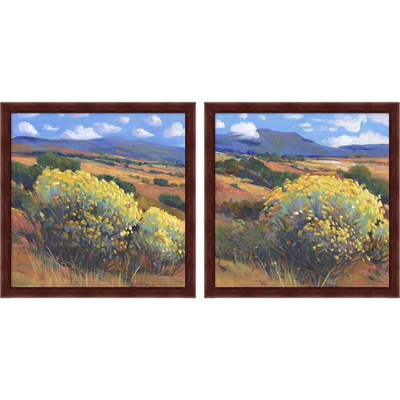 Great Art Now Chamisa by Timothy O'Toole, 2 Piece Framed Art Set Each 13.25"W x 13.25"H