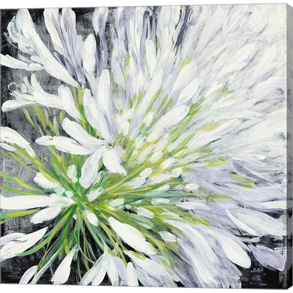 Great Art Now Cleome Splash II Black by Julia Purinton, Canvas Wall Art, 24W x 24H