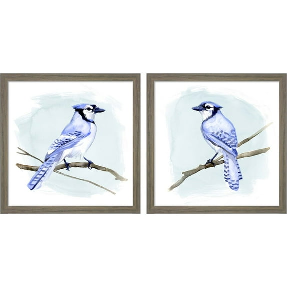 Great Art Now Coastal Blue Jay by Jacob Green, 2 Piece Framed Art Set Each 13"W x 13"H
