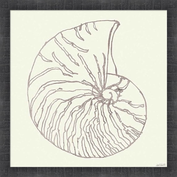 Great Art Now Coastal Breeze Shell Sketches VII Silver by Anne Tavoletti, Framed Wall Art, 17.5W x 17.5H