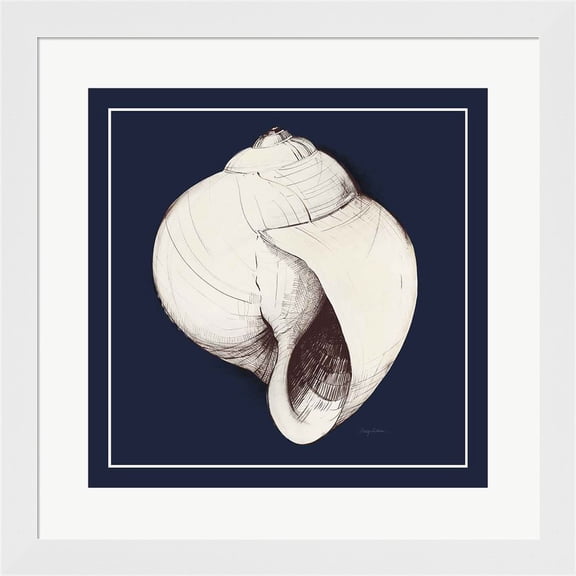 Great Art Now Coastal Shell I with Border Navy by Avery Tillmon, Framed Wall Art, 19.75W x 19.75H