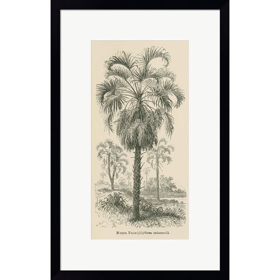 Great Art Now Creators Wonders Book Palm by Wild Apple Portfolio, Framed Wall Art, 14W x 22H