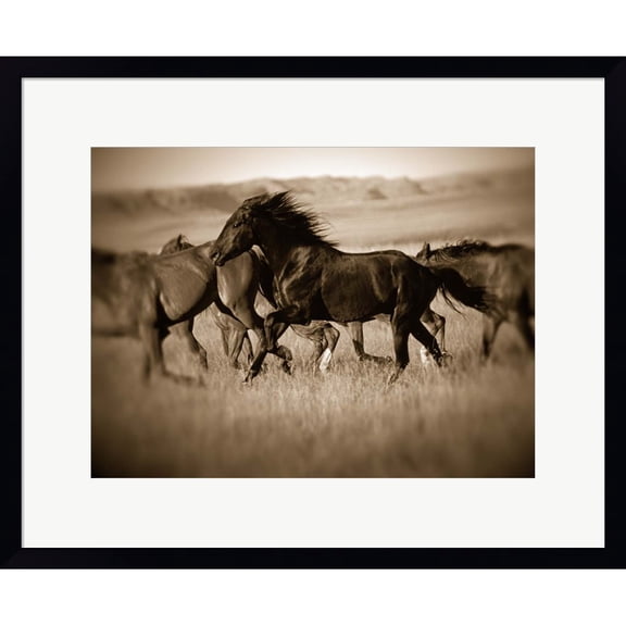 Great Art Now Dark Horse by J.C. Leacock, Framed Wall Art, 22W x 18H