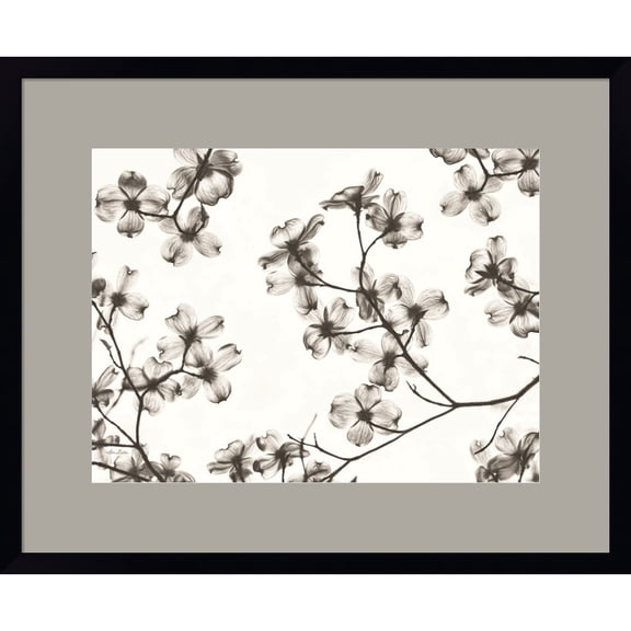 Great Art Now Dogwood Blossom Silhouette by Lori Deiter, Framed Wall Art, 22W x 18H