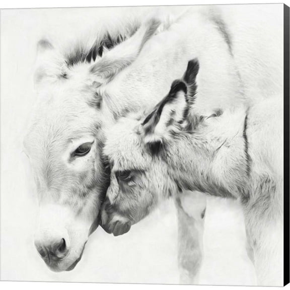 Great Art Now Donkey Portrait III by PHBurchett, Canvas Wall Art, 12W x 12H