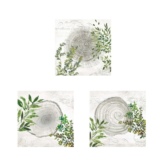 Great Art Now Eco by Aimee Wilson 3 Piece Print Art Set Each 12W x 12H