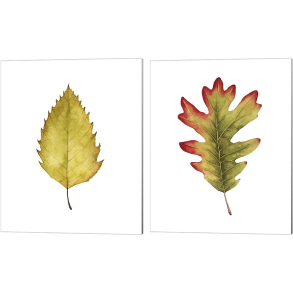 Great Art Now Fall Leaf Study by Grace Popp 2 Piece Canvas Art Set Each 12"W x 15"H