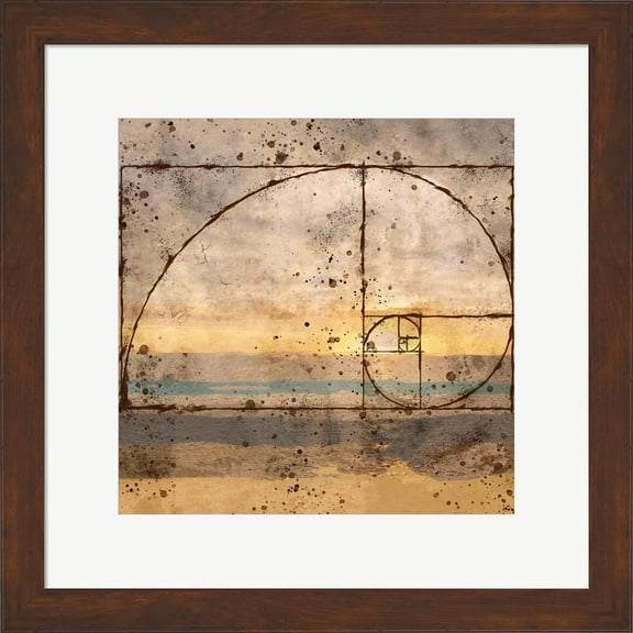 Great Art Now Fibonacci Shell by Marta Wiley, Framed Wall Art, 18.75W x 18.75H