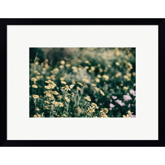 Great Art Now Field Friends Fade by Nathan Larson, Framed Wall Art, 18W x 14H