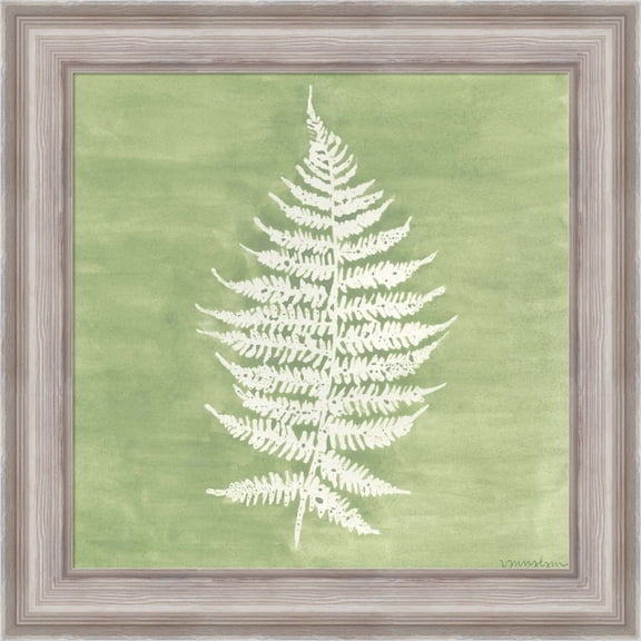 Great Art Now Forest Ferns I by Vanna Lam, Framed Wall Art, 20W x 20H