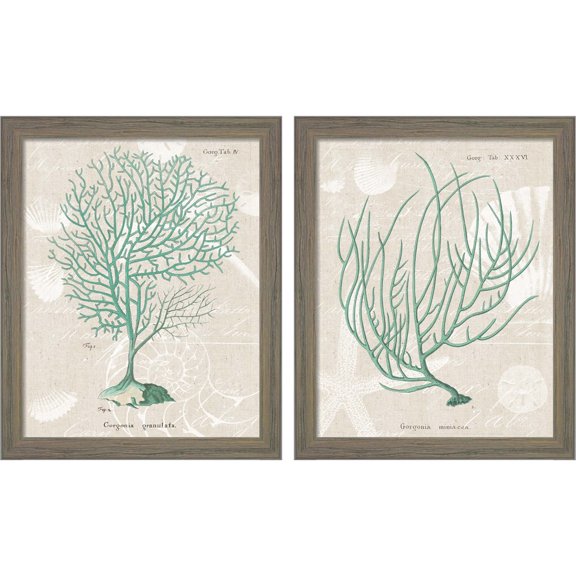 Great Art Now Gorgonia Granulata & Miniacea on Linen Sea Foam by Wild Apple Portfolio, 2 Piece Framed Art Set Each 9"W x 11"H