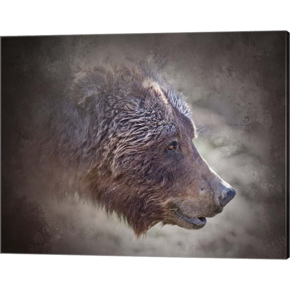 Great Art Now Grizzly Bear Boar by Larry McFerrin, Canvas Wall Art, 20W x 16H