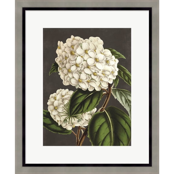 Great Art Now Hydrangea by Lettered & Lined, Framed Wall Art, 19W x 23H