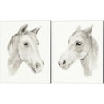 thumbnail image 1 of Great Art Now Ivory Stallion by Annie Warren 2 Piece Canvas Art Set Each 12W x 15H, 1 of 3