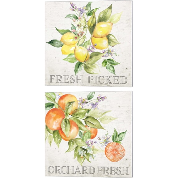Great Art Now Lemon Grove by Tre Sorelle Studios 2 Piece Canvas Art Set Each 14"W x 14"H