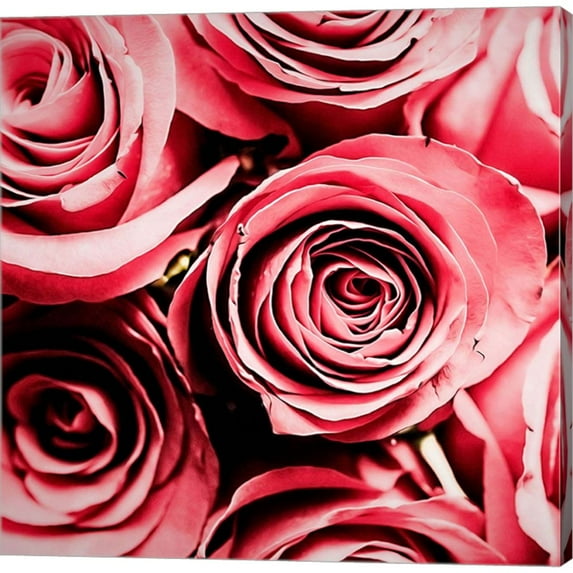 Great Art Now Moonlight & Roses by Jessica Manelis, Canvas Wall Art, 24W x 24H