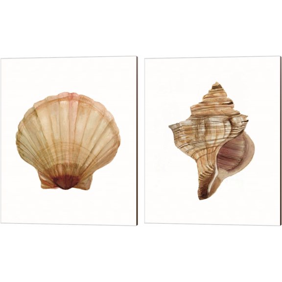 Great Art Now Neutral Shell Collection by Stellar Design Studio 2 Piece Canvas Art Set Each 12"W x 15"H