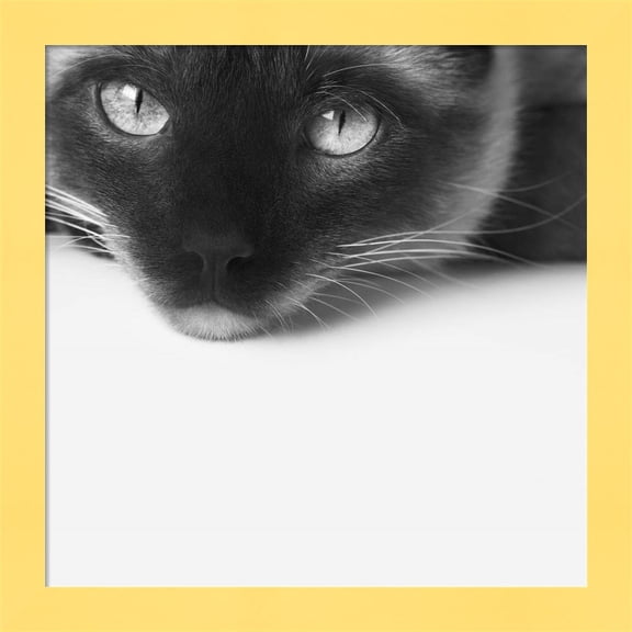 Great Art Now No Stress by Jon Bertelli, Framed Wall Art, 14W x 14H