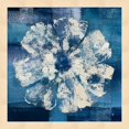 thumbnail image 1 of Great Art Now Ocean Bloom I by Studio Mousseau Framed Wall Art 13"W x 13"H, 1 of 3