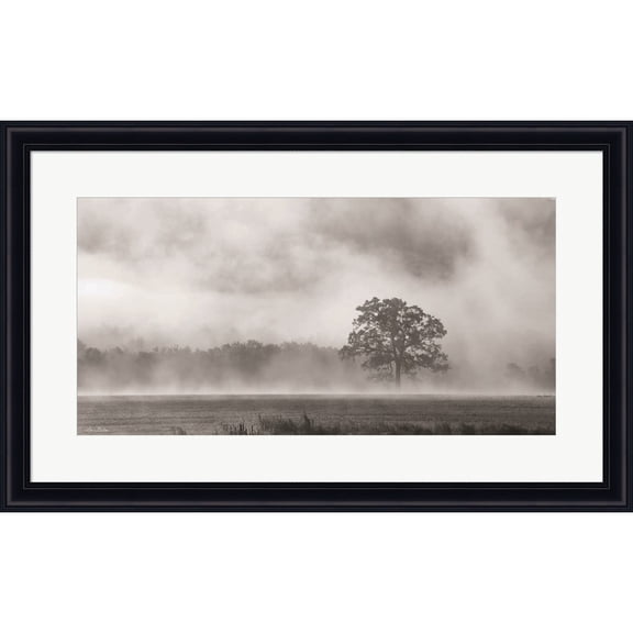 Great Art Now Old Oak in Fog by Lori Deiter, Framed Wall Art, 31.25W x 19.5H