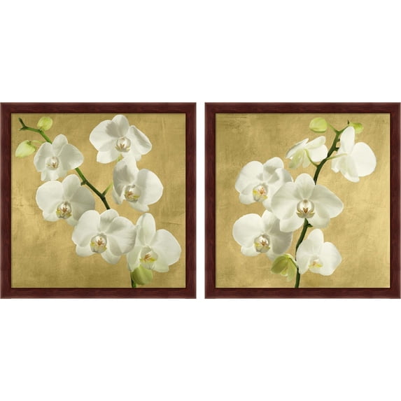 Great Art Now Orchids on a Golden Background by Andrea Antinori, 2 Piece Framed Art Set Each 13.25"W x 13.25"H