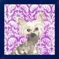 thumbnail image 1 of Great Art Now Parlor Pooches IX by June Erica Vess, Framed Wall Art, 14W x 14H, 1 of 3