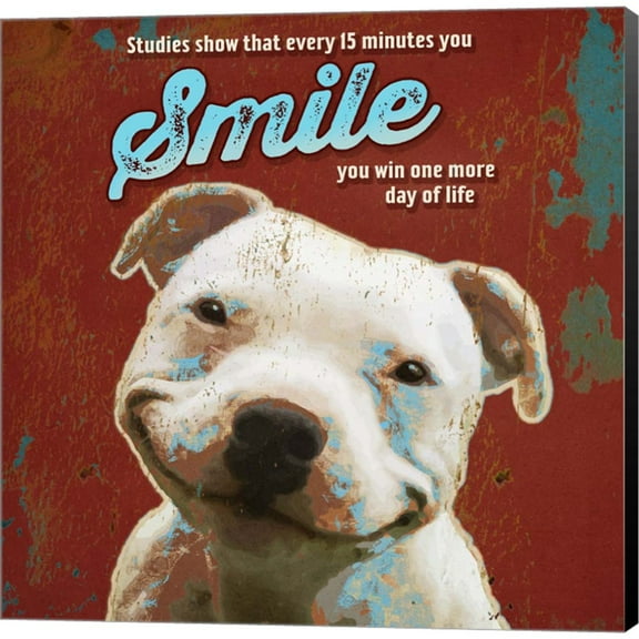 Great Art Now Pet Sentiment I-Smile by Duirwaigh, Canvas Wall Art, 12W x 12H