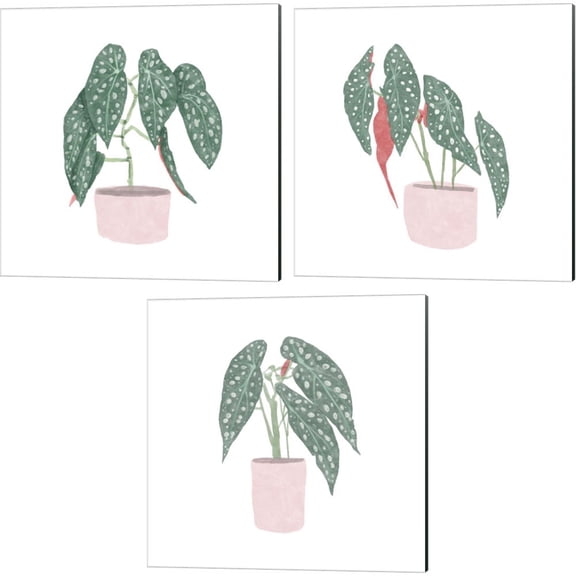 Great Art Now Polka Dot Begonia by Bannarot 3 Piece Canvas Art Set Each 14W x 14H