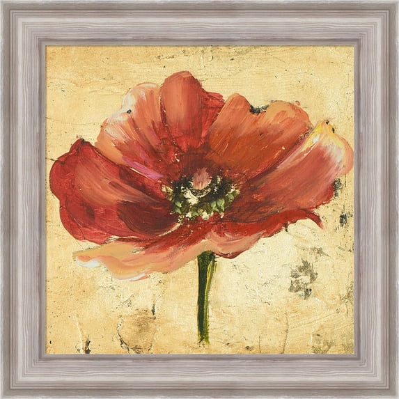 Great Art Now Poppy IV by Patricia Pinto, Framed Wall Art, 20W x 20H