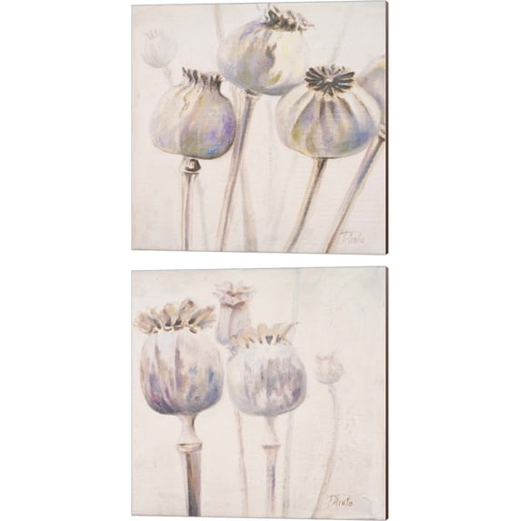 Great Art Now Poppy Seeds by Patricia Pinto 2 Piece Canvas Art Set Each 14W x 14H