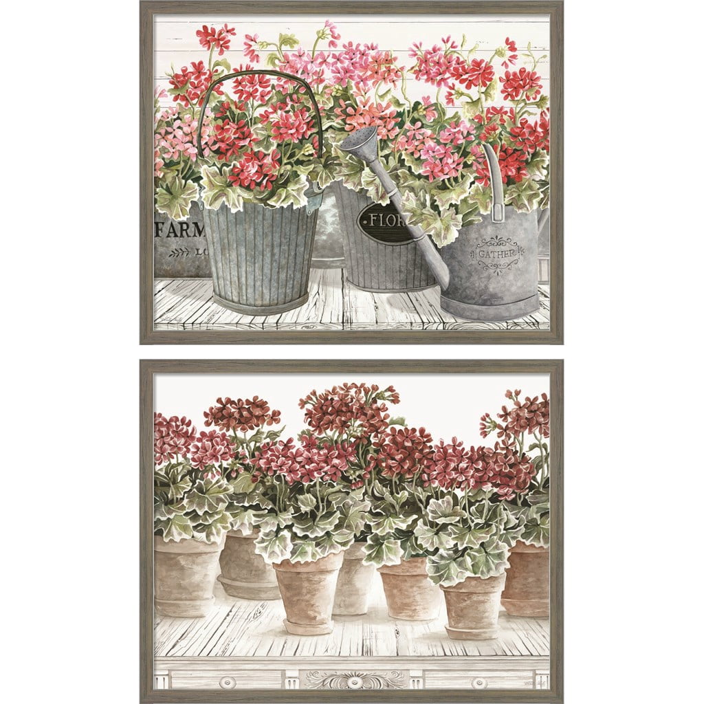 Great Art Now Potted Geranium Mix by Cindy Jacobs, 2 Piece Framed Art ...
