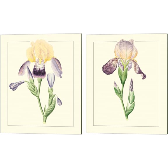 Great Art Now Purple Irises by 2 Piece Canvas Art Set Each 12W x 15H