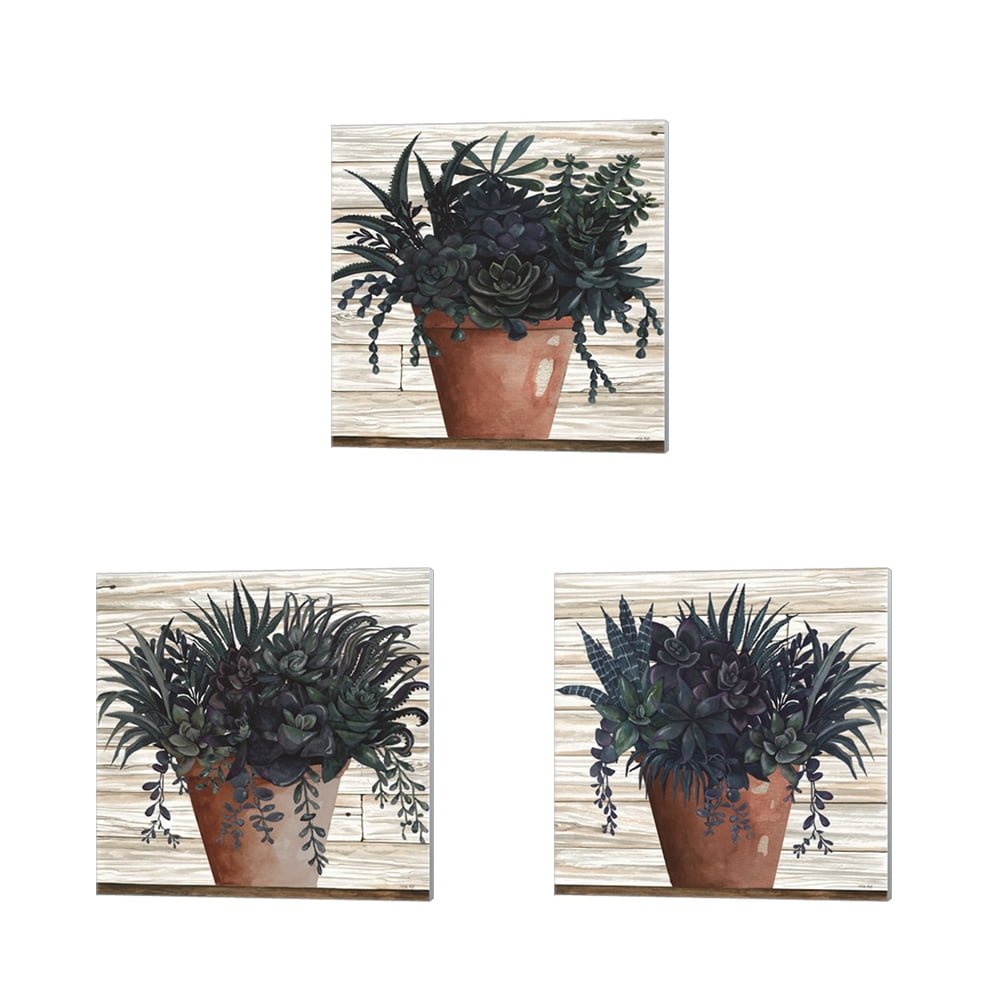 Great Art Now Remarkable Succulents by Cindy Jacobs 3 Piece Canvas Art ...