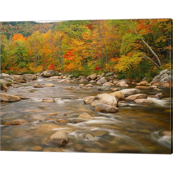 Great Art Now River flowing trough Forest in Autumn White Mountains National Forest New Hampshire by Adam Jones / Danita Delimont Canvas Wall Art 20W x 16H