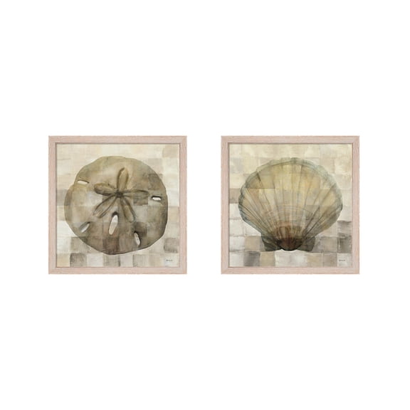 Great Art Now Sand Dollar & Scallop Shell by Stellar Design Studio, 2 Piece Framed Art Set Each 13.5W x 13.5H