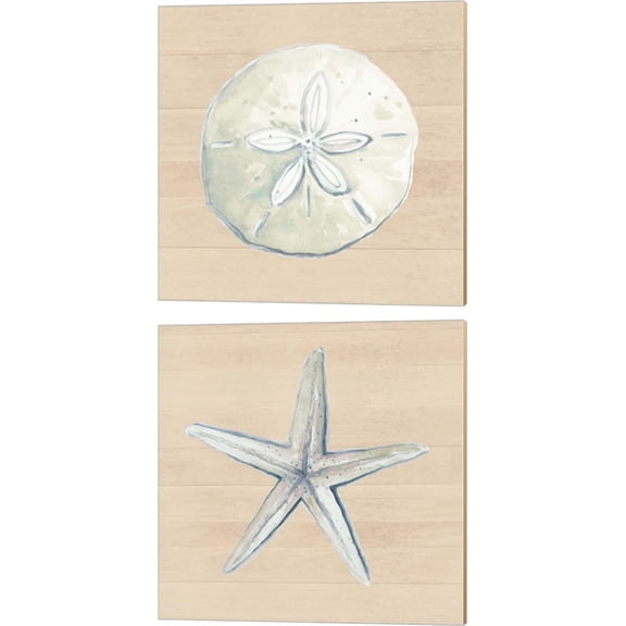 Great Art Now Sand Dollar & Starfish by Patricia Pinto 2 Piece Canvas Art Set Each 14"W x 14"H