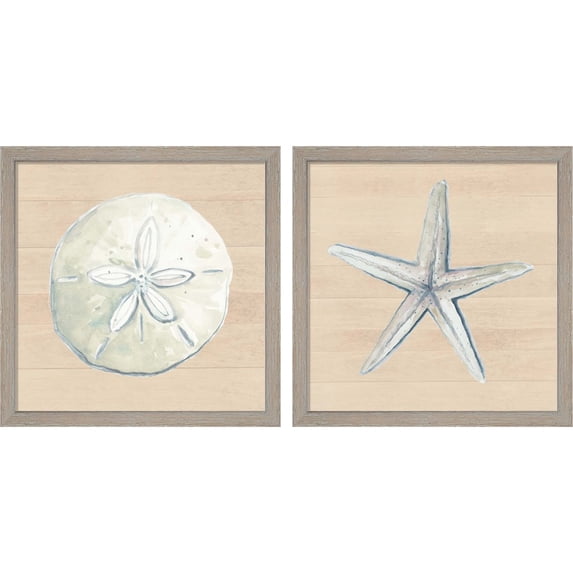 Great Art Now Sand Dollar & Starfish by Patricia Pinto, 2 Piece Framed Art Set Each 13"W x 13H
