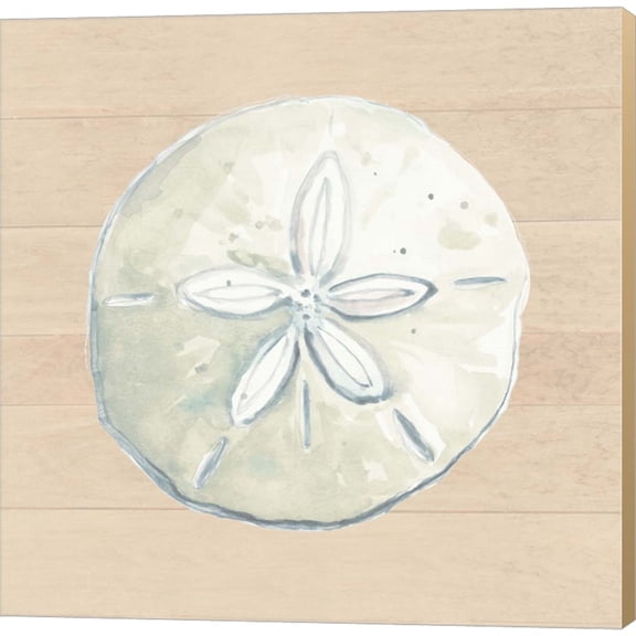 Great Art Now Sand Dollar by Patricia Pinto, Canvas Wall Art, 12W x 12H