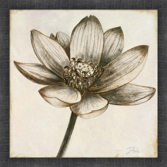 Great Art Now Sepia Lotus II by Patricia Pinto, Framed Wall Art, 17.5W x 17.5H