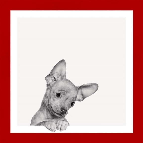 Great Art Now Sweet Chihuahua by Jon Bertelli, Framed Wall Art, 14W x 14H