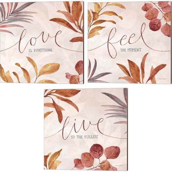 Great Art Now Terra B by Lisa Audit 3 Piece Canvas Art Set Each 14"W x 14"H