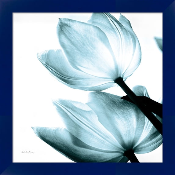 Great Art Now Translucent Tulips II Sq Aqua by Debra Van Swearingen, Framed Wall Art, 14W x 14H