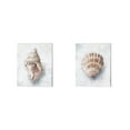 thumbnail image 1 of Great Art Now White Shell Study by Ethan Harper 2 Piece Canvas Art Set Each 12"W x 15"H, 1 of 3