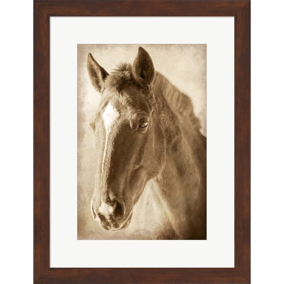 Great Art Now Wild Stallion 1 by Marcus Prime, Framed Wall Art, 17.5W x 22.75H