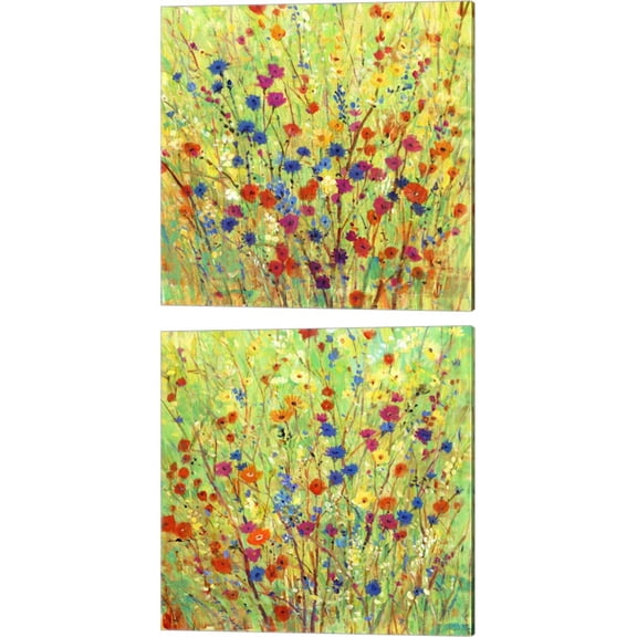 Great Art Now Wildflower Patch by Timothy O'Toole 2 Piece Canvas Art Set Each 14W x 14H