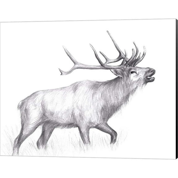 Great Art Now Wildlife Trail II by Melissa Wang, Canvas Wall Art, 20W x 16H
