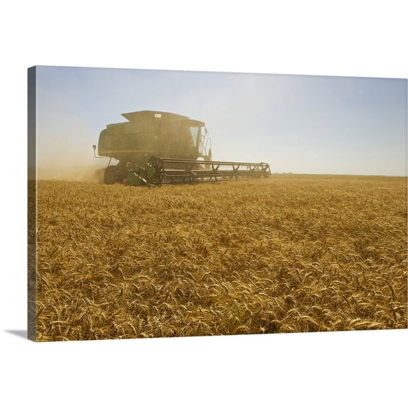 Great BIG Canvas | "A Combine Harvester Works A Field Of Winter Wheat, Manitoba, Canada" Canvas Wall Art - 24x16